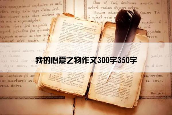 我的心爱之物作文300字350字