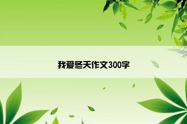 我爱冬天作文300字