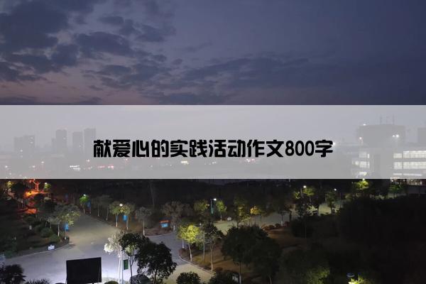 献爱心的实践活动作文800字