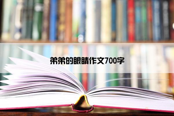 弟弟的眼睛作文700字