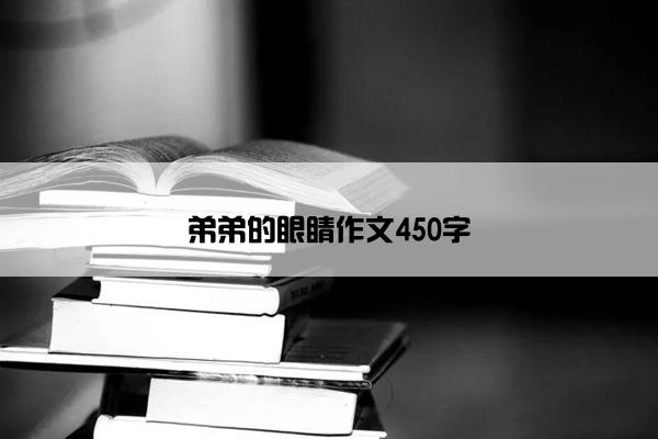 弟弟的眼睛作文450字