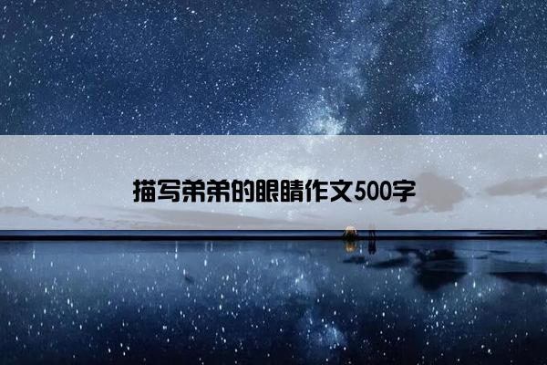 描写弟弟的眼睛作文500字
