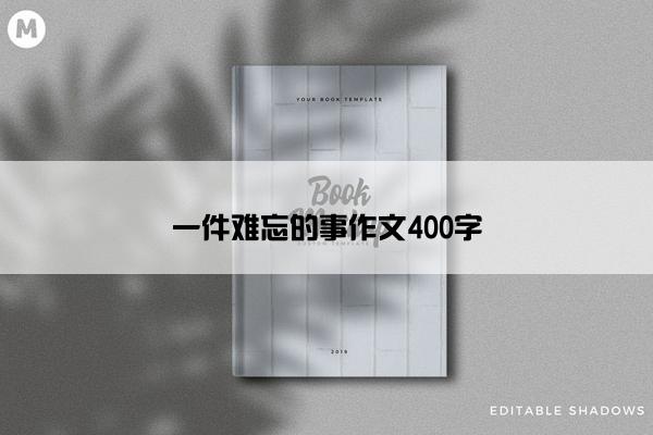 一件难忘的事作文400字