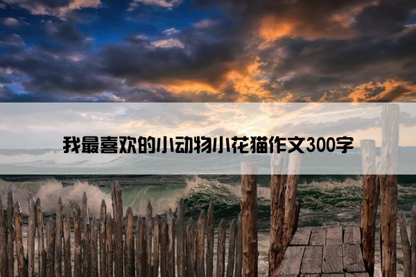 我最喜欢的小动物小花猫作文300字