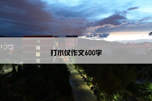 打水仗作文600字