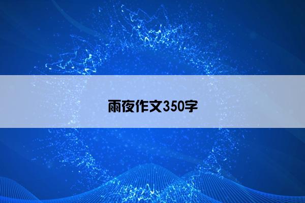 雨夜作文350字