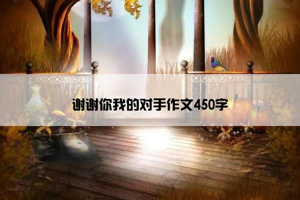 谢谢你我的对手作文450字