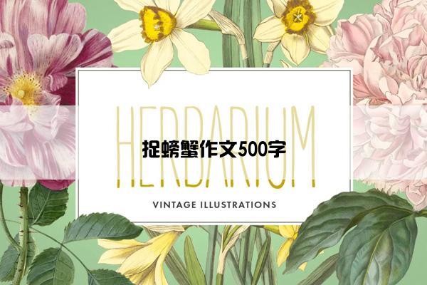 捉螃蟹作文500字