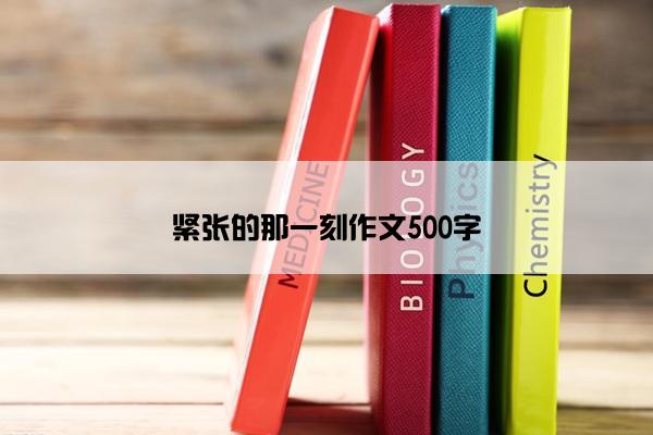 紧张的那一刻作文500字