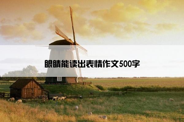 眼睛能读出表情作文500字