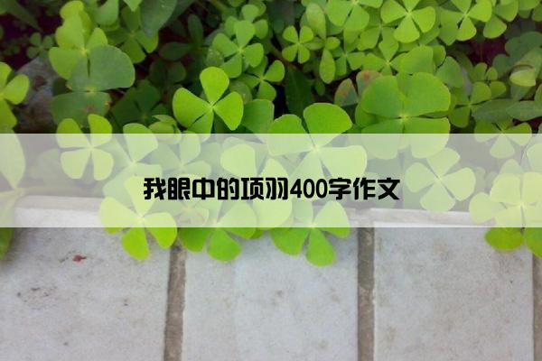 我眼中的项羽400字作文