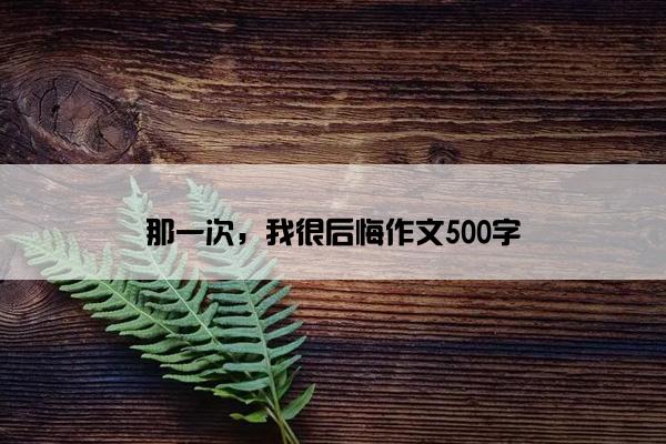 那一次，我很后悔作文500字