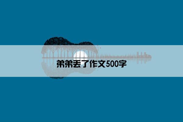 弟弟丢了作文500字