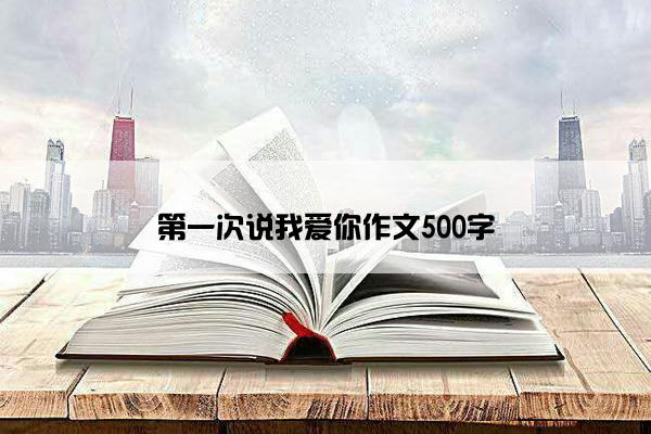 第一次说我爱你作文500字