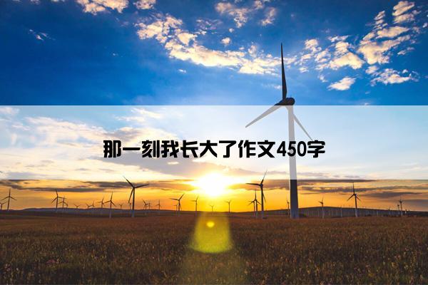 那一刻我长大了作文450字