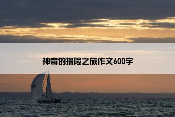神奇的探险之旅作文600字