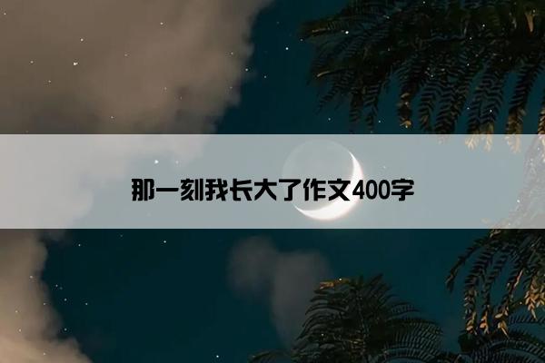 那一刻我长大了作文400字