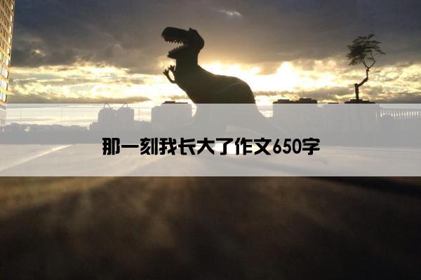 那一刻我长大了作文650字