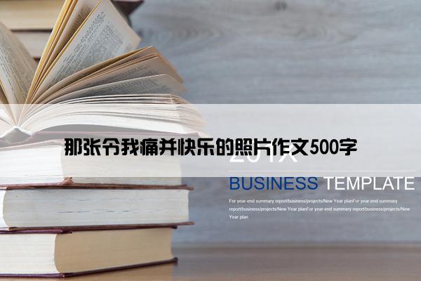 那张令我痛并快乐的照片作文500字