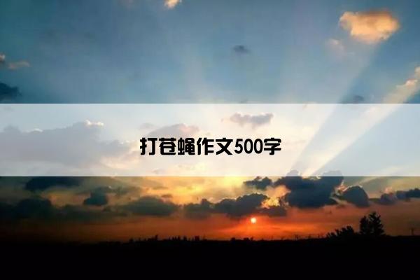 打苍蝇作文500字