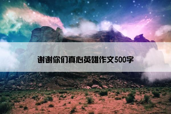 谢谢你们真心英雄作文500字