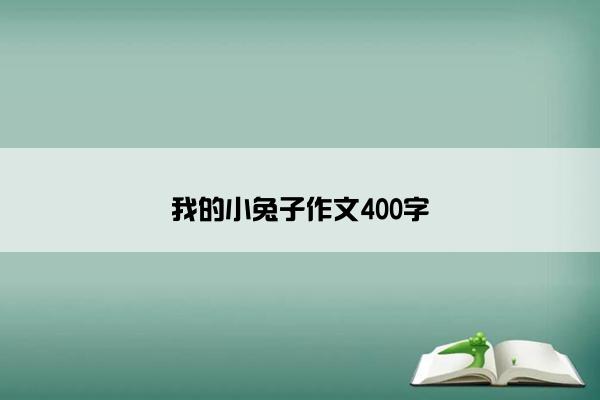 我的小兔子作文400字
