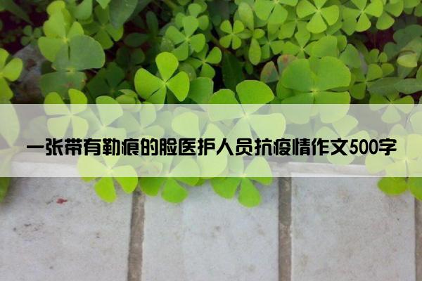 一张带有勒痕的脸医护人员抗疫情作文500字