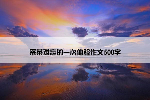采茶难忘的一次体验作文500字