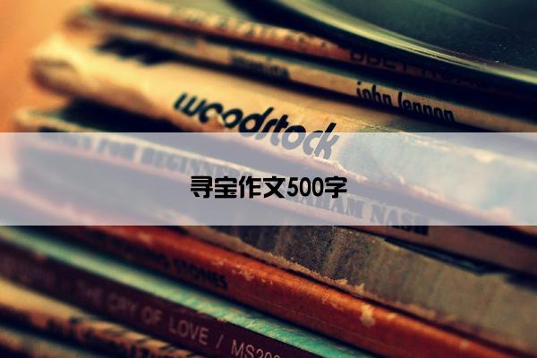 寻宝作文500字