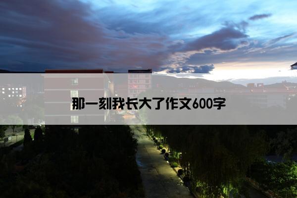 那一刻我长大了作文600字
