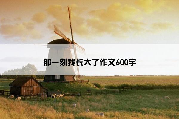 那一刻我长大了作文600字