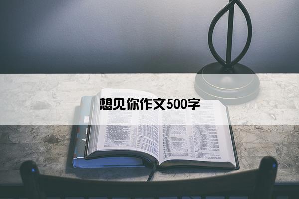 想见你作文500字