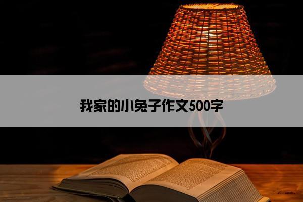 我家的小兔子作文500字