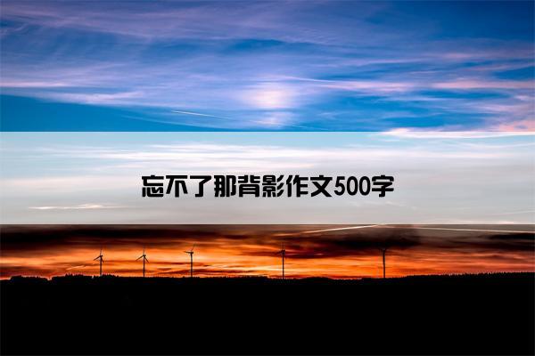忘不了那背影作文500字