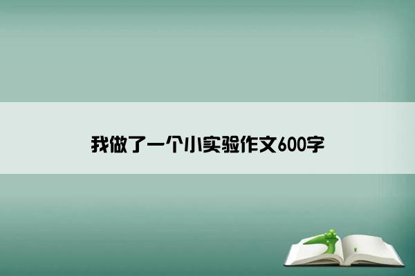 我做了一个小实验作文600字
