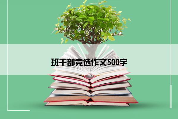 班干部竞选作文500字