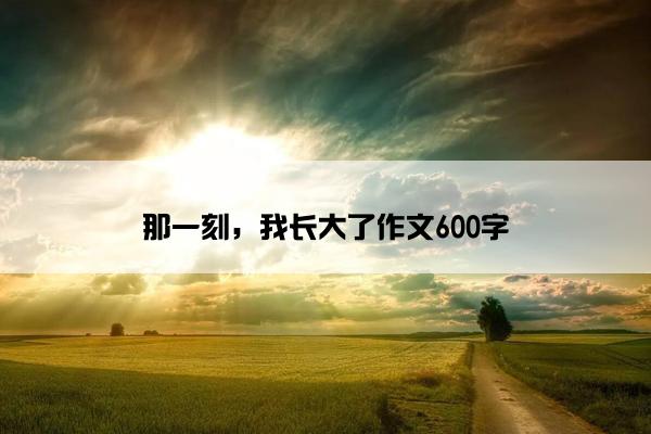 那一刻，我长大了作文600字