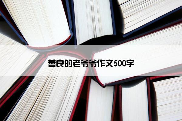 善良的老爷爷作文500字