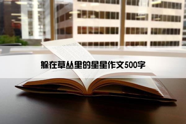 躲在草丛里的星星作文500字