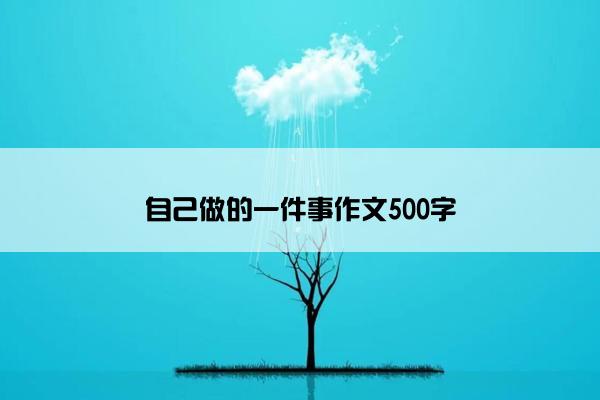 自己做的一件事作文500字