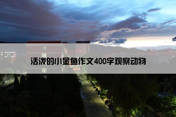 活泼的小金鱼作文400字观察动物