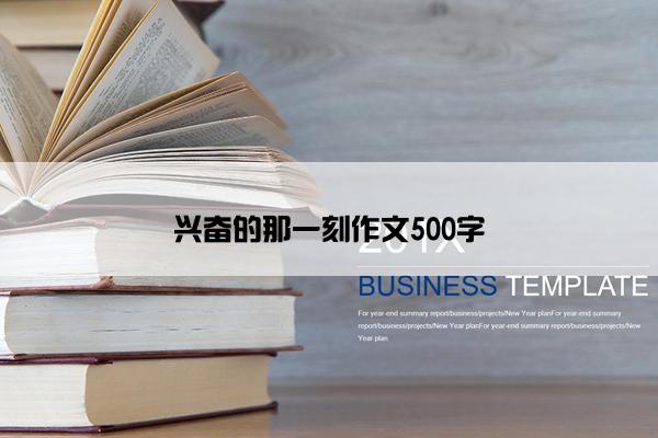 兴奋的那一刻作文500字