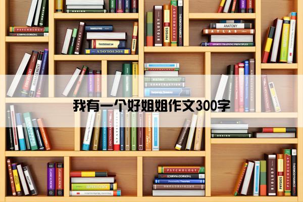 我有一个好姐姐作文300字