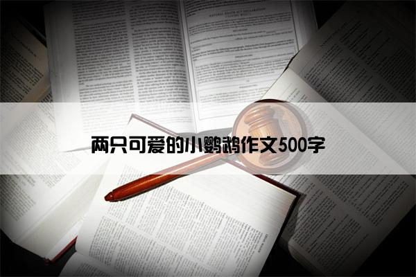 两只可爱的小鹦鹉作文500字