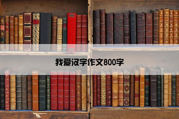 我爱汉字作文800字