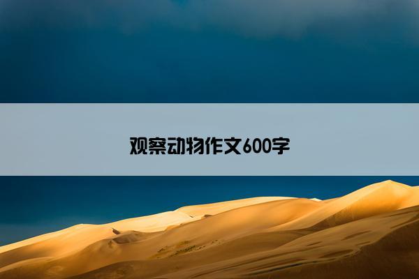 观察动物作文600字