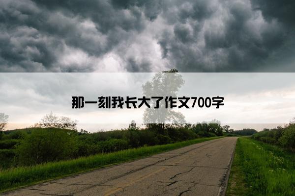 那一刻我长大了作文700字