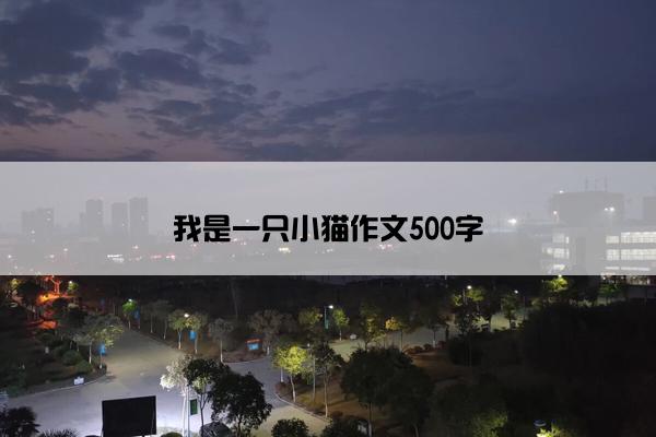 我是一只小猫作文500字