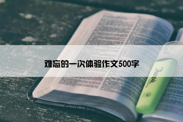 难忘的一次体验作文500字