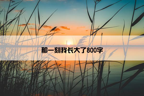 那一刻我长大了800字
